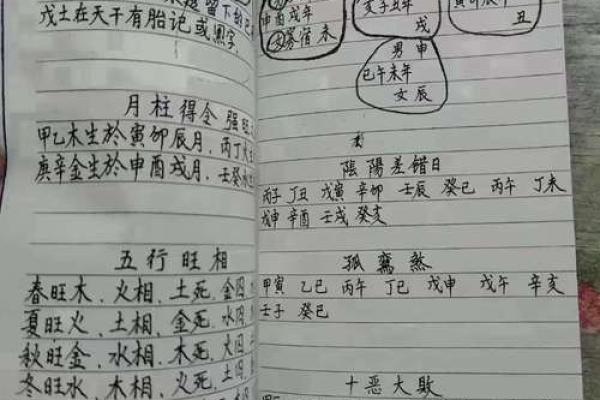 命理指要面授提纲，四柱八字运程学说