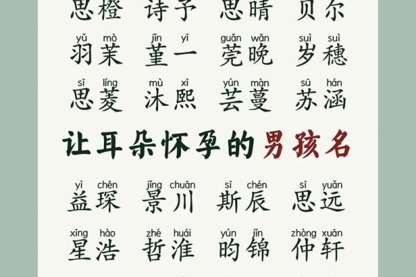 2019年3月30号巳时出生的男孩起名方法姓名