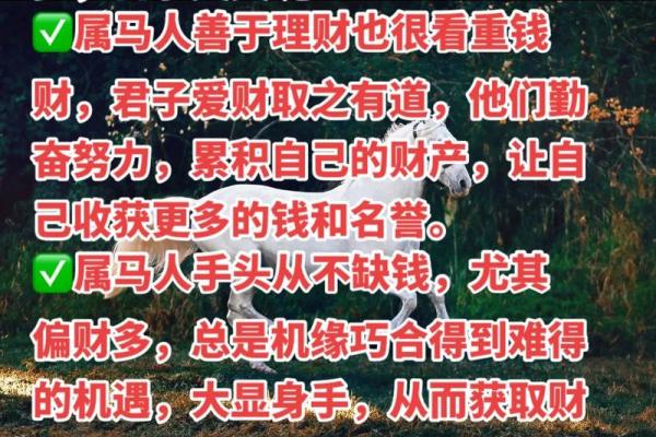 算命年运势属马男