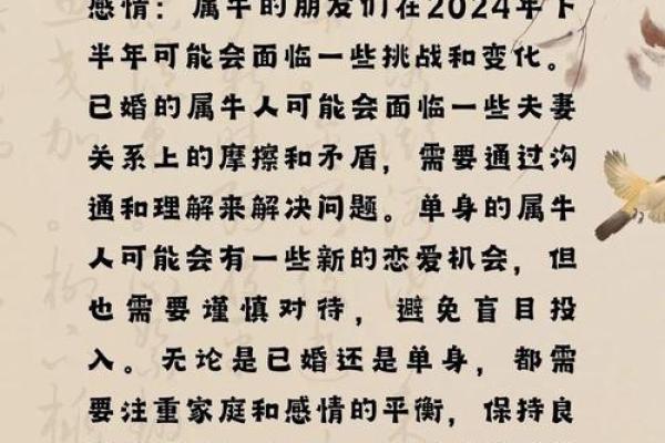 算命年运势属马男