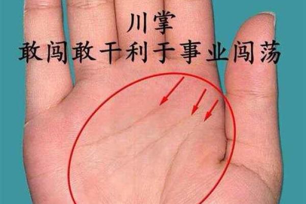 手相太阳线揭秘算命图解大全