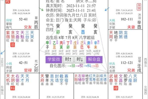 紫薇斗数绝胎养