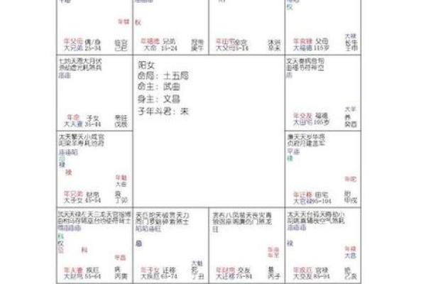 紫微斗数怎么看是小限 紫微斗数大小限的算法？