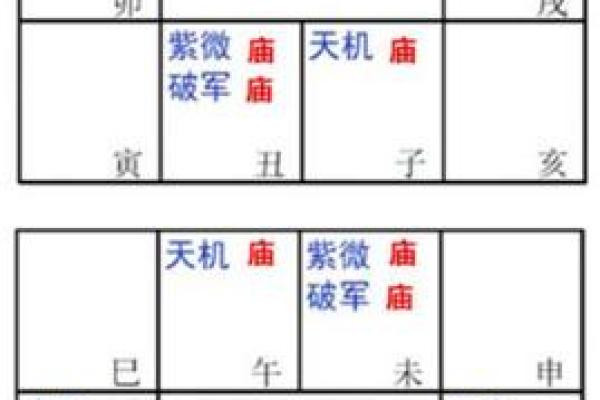 紫薇斗数阴阳属性