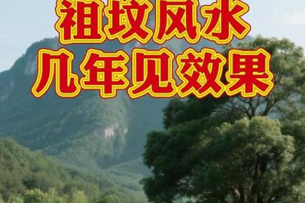 好的祖坟风水几年见效