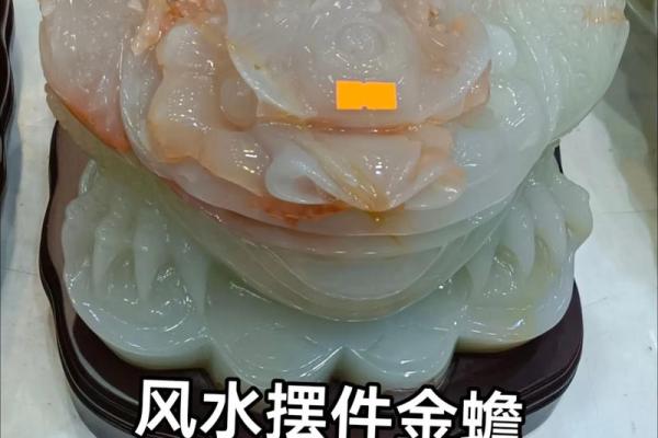 风水如何摆放金蟾可招财