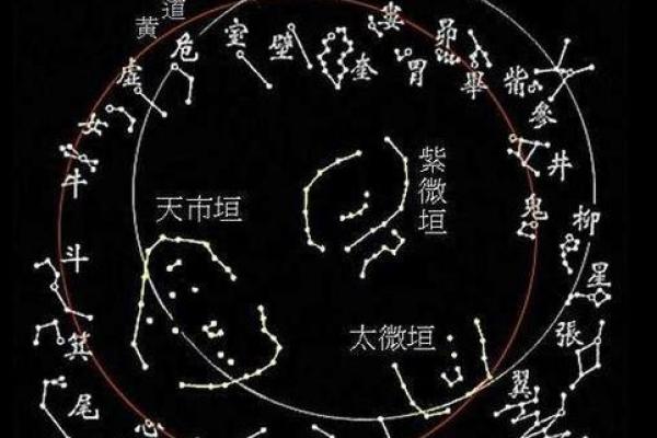 紫薇星盘斗数