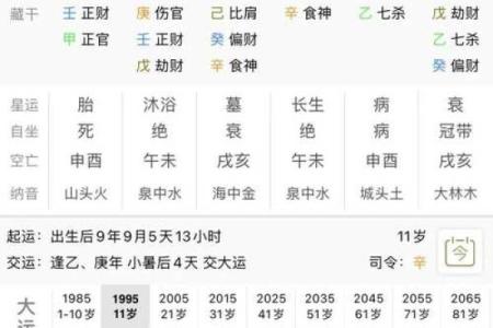 自己怎么学算命