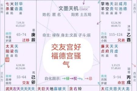 紫薇斗数命理八字占卜