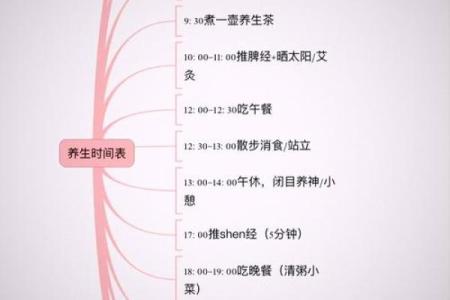 如何根据体弱多病八字强特点调整生活方式