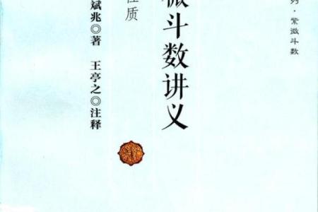 紫薇斗数一本小说