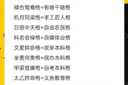 紫微斗数爱好 紫微斗数 性格？