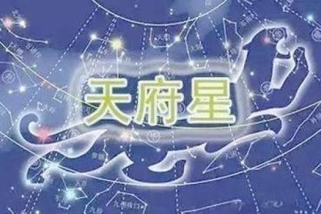 紫薇斗数之天府