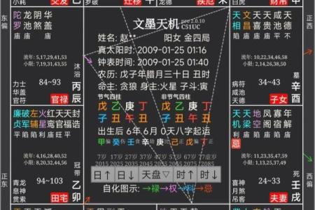 紫微斗数算命详解 紫微斗数测算命运？