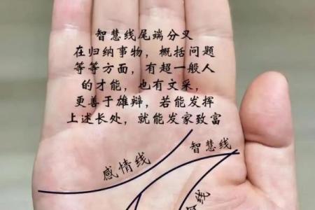 图解：手相障碍线算命