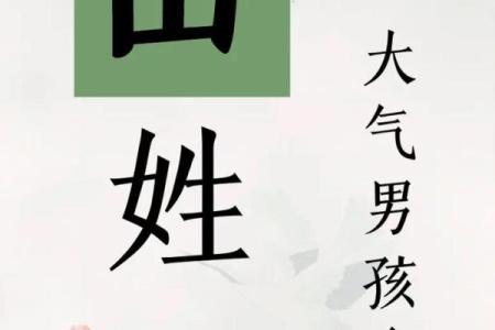 2019年3月26号亥时出生的男孩要怎么起名字姓名