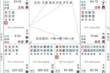 紫微斗数诸星落诸宫之：天梁星夫妻宫详解