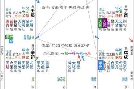 紫微斗数看旅行运 紫薇斗数行运？