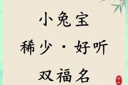 11月份出生的属兔男孩应如何取名字姓名