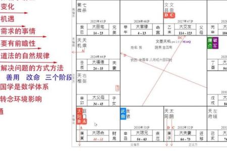 紫薇斗数加吉