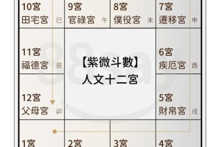 紫薇斗数看配偶大小