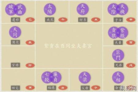 紫薇斗数排宫