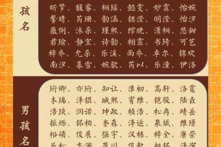 宝宝生辰八字取名打分