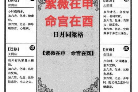 紫薇斗数科在命宫