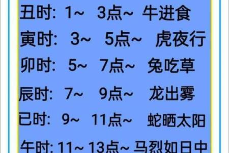 卯时八字