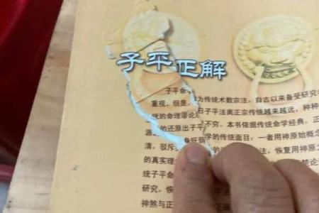 八字徐伟刚