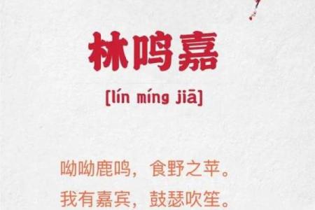 林姓男孩名字大全-林姓男孩起名字大全-林姓名字大全姓名