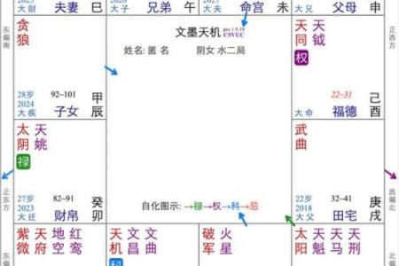 紫微斗数怎么看是小限 紫微斗数大小限的算法？