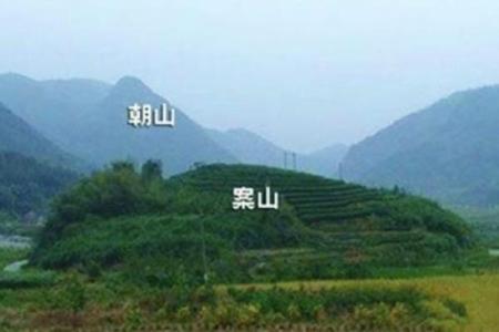 风水上祖坟上长树意味着什么