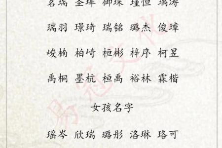 2019年3月19号未时出生的男孩起名时要注意什么姓名