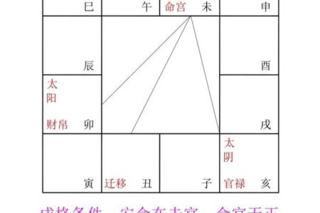 紫薇斗数如何看智慧