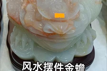 风水如何摆放金蟾可招财
