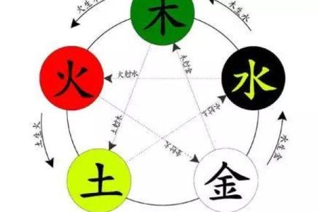 张雨鑫八字评分与命运如何？