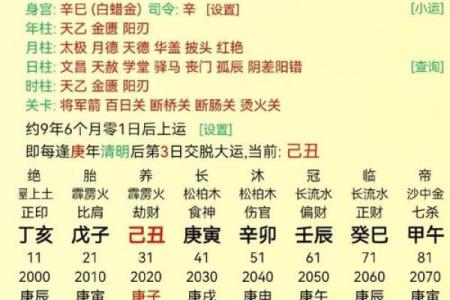 食神泄秀八字案例