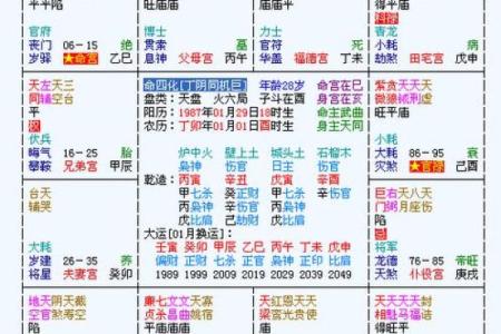 武汉紫薇斗数app