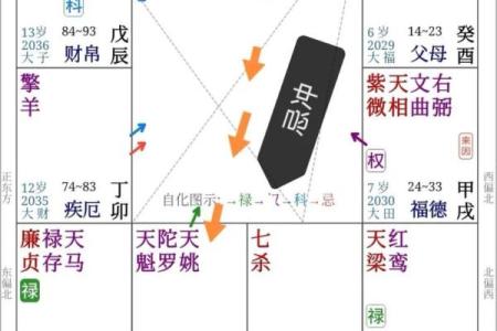 紫薇斗数算怀孕时间