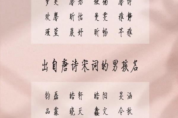 2019年3月28号酉时出生的男孩如何起名姓名