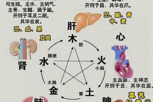 叶曼一命二运三风水