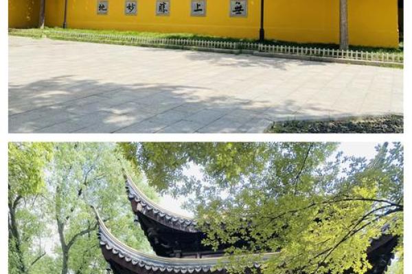 苏州西园寺罗汉灵签解签一览表