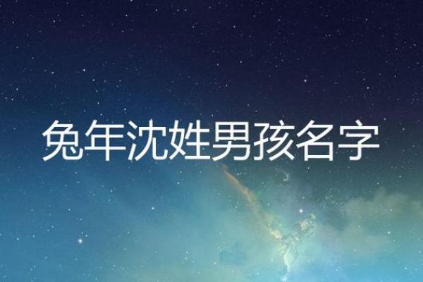沈姓男孩名字大全-沈姓男孩起名字大全-沈姓名字大全姓名