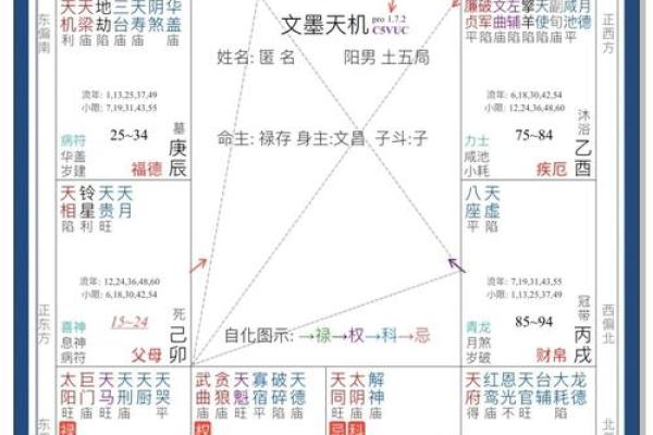 z紫薇斗数排盘