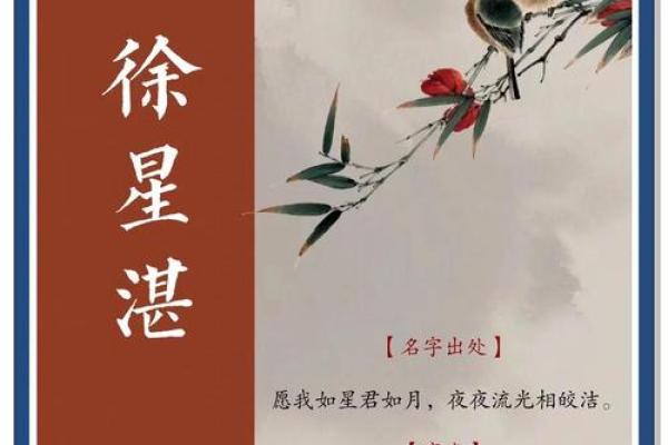 湛姓男孩名字大全-湛姓男孩起名字大全-湛姓名字大全姓名