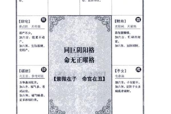 紫薇斗数阳历盘