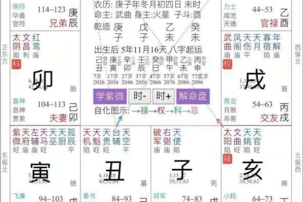 紫薇斗数阳历盘