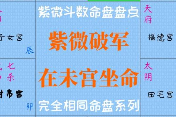 紫薇斗数命盘带帝旺是什么意思