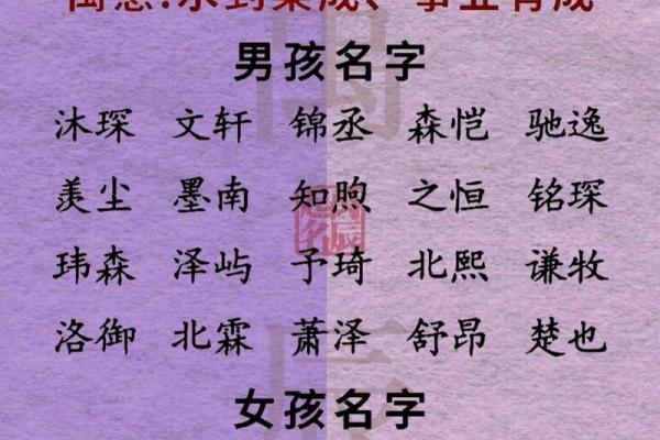 2019年4月28号卯时出生的男孩应该起什么样的名字姓名